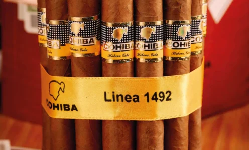 The Newest Kid on the Block: Cohiba Siglo VI Cuban Cigar Review