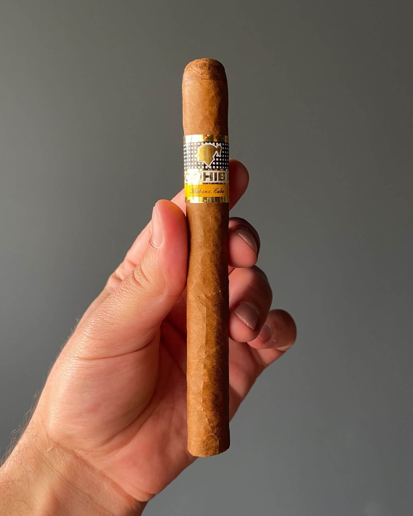 Cohiba Siglo II Cuban Cigar Review